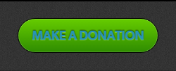 make a donation button